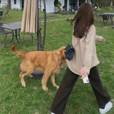 一团乱麻
